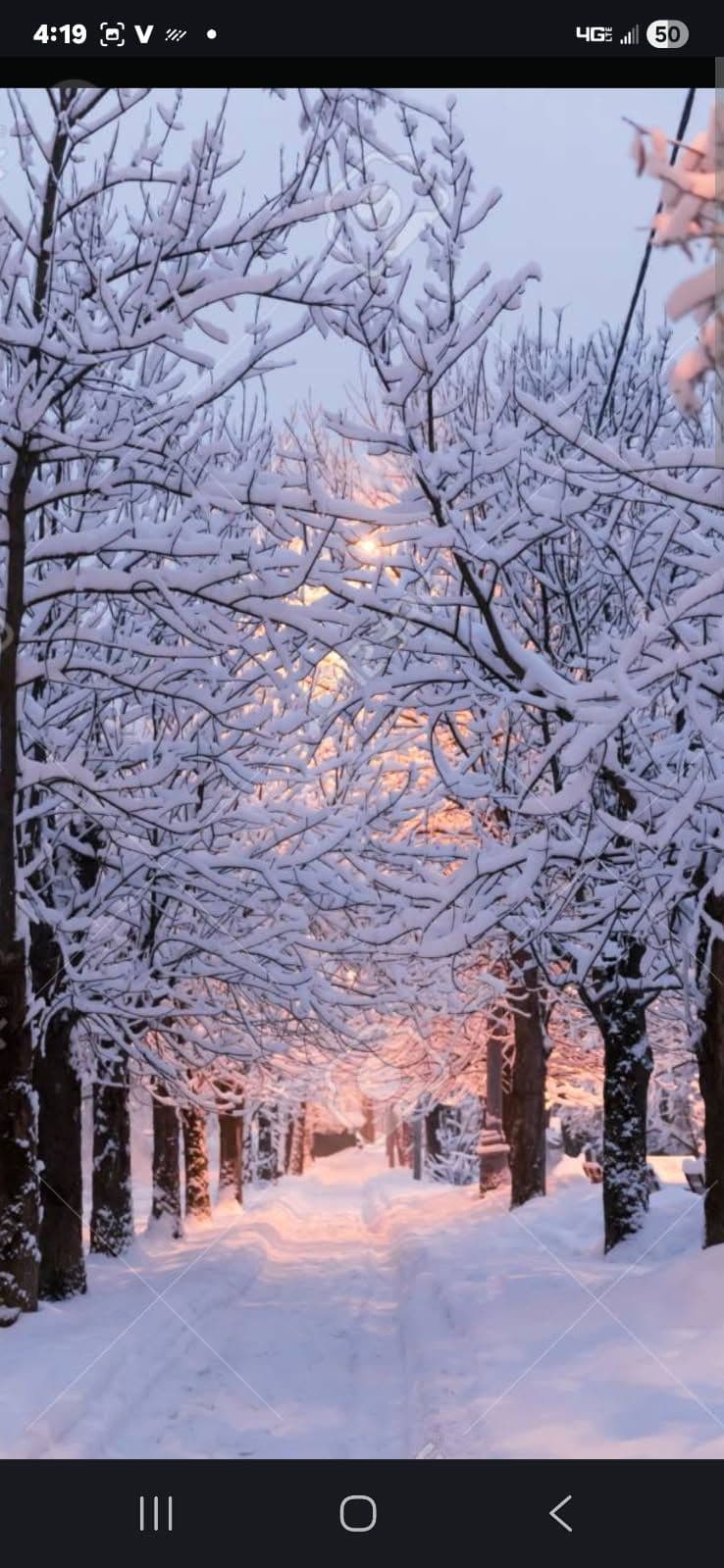 Project Stay Safe This Winter With Our Expert Snow Removal image