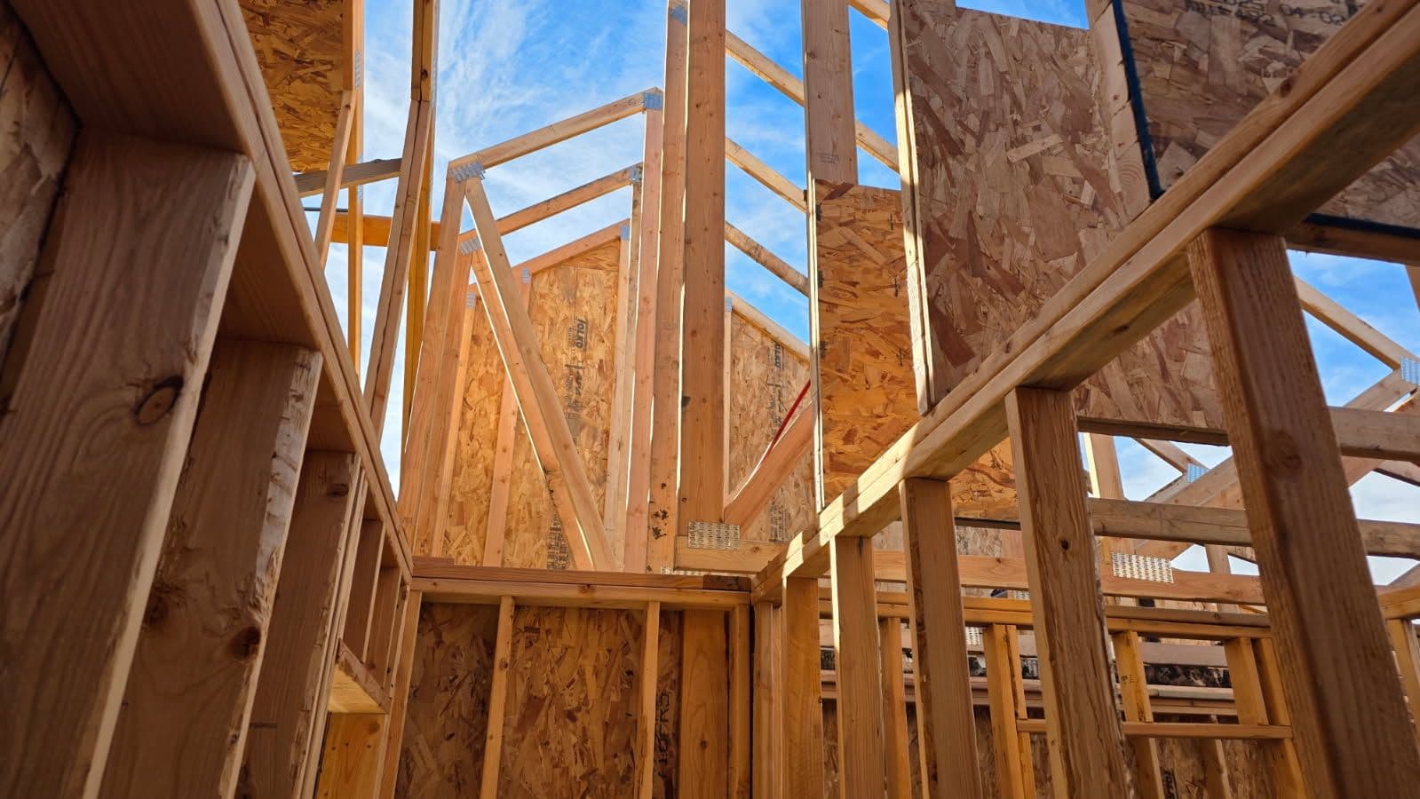 Gallery photos for Roof Framing Progress at Edson Builders: Image #3