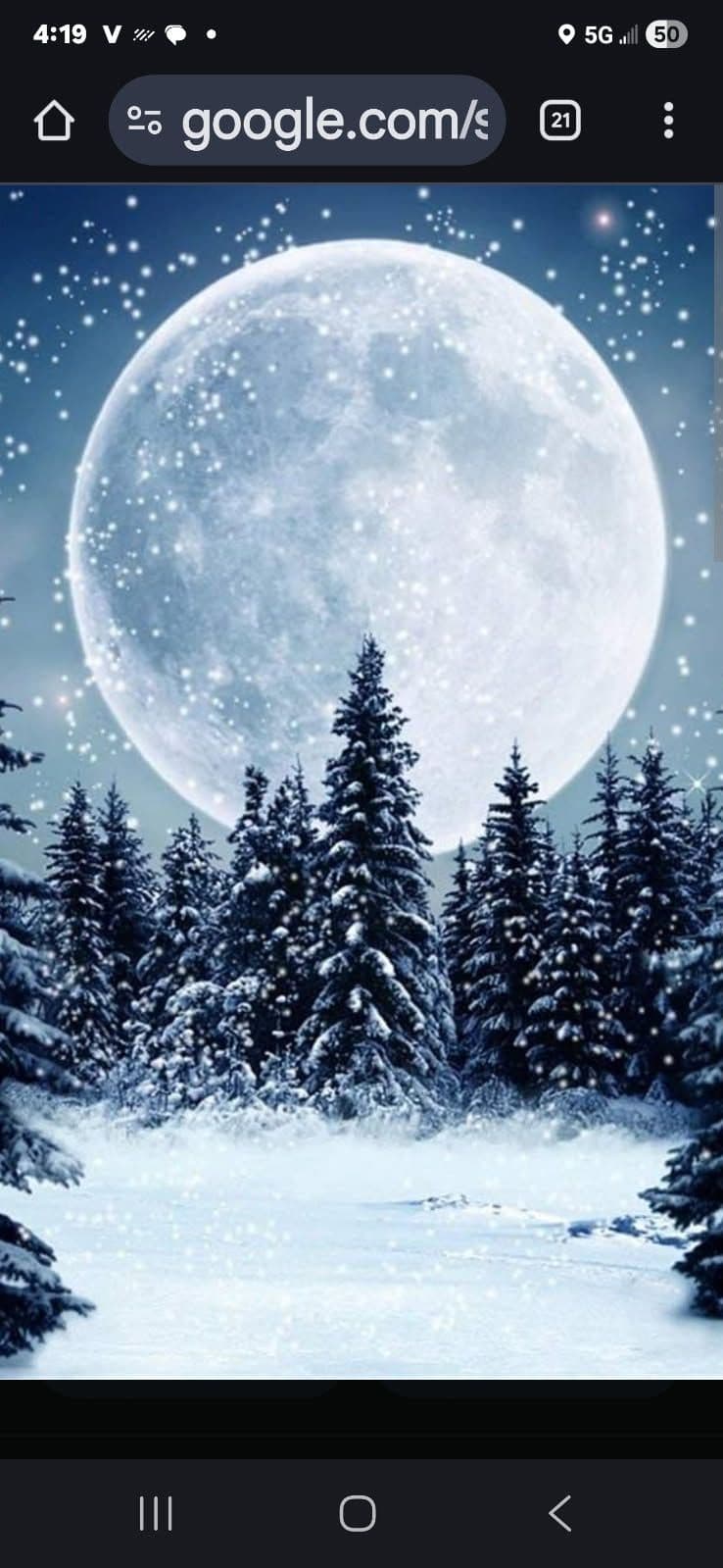 Gallery photos for Stay Safe This Winter With Our Expert Snow Removal: Image #1